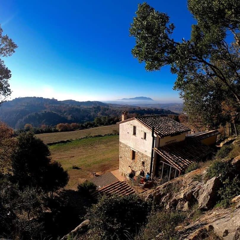 Апартаменты La Casa Del Tartufo Torri in Sabina Экстерьер фото